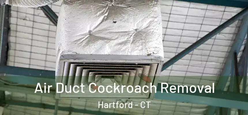  Air Duct Cockroach Removal Hartford - CT