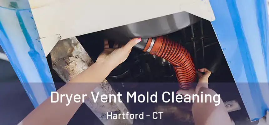  Dryer Vent Mold Cleaning Hartford - CT