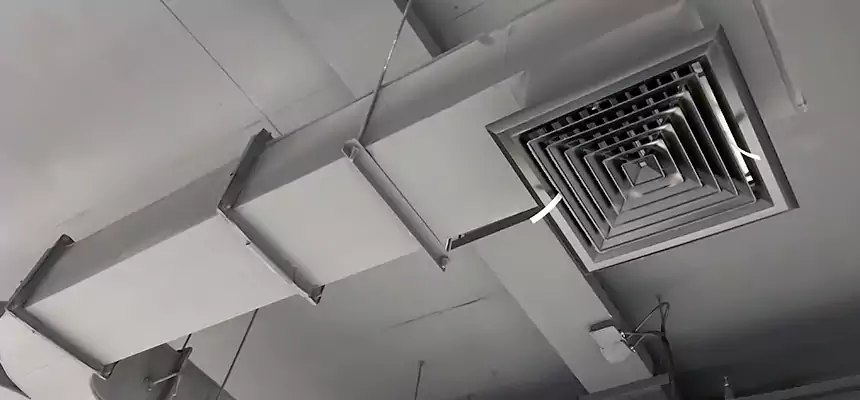 Restorative Allergy Relief Vent Cleaning – Coil, Blower & Housing Detail in Hartford