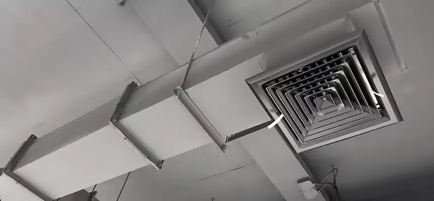 Our Rodent Droppings In Vents Services in Hartford, CT