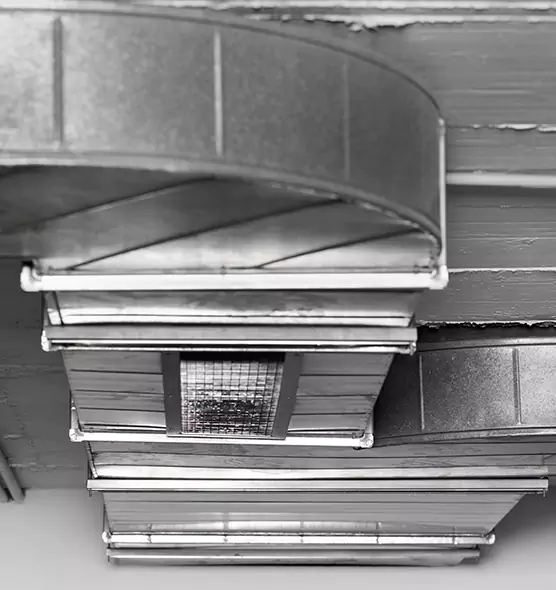 Professional Air Duct Pest Removal in Hartford, CT