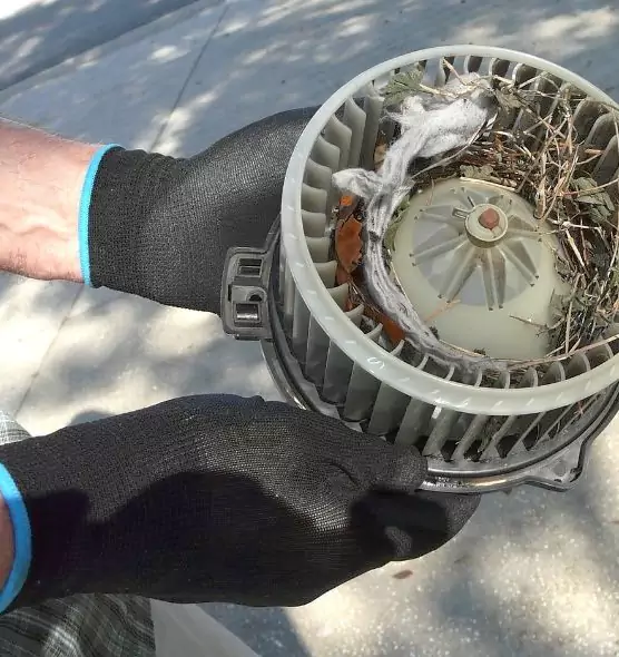 About Air Duct Rat Removal in Hartford, CT