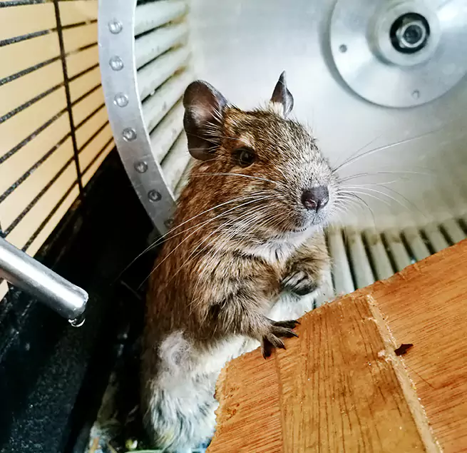 Why Homeowners & Businesses Trust Us Hartford, CT